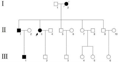 Familial Hemiplegic Migraine Type 3 (FHM3) With an SCN1A Mutation in a Chinese Family: A Case Report